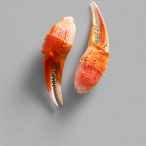 ATLANTIC  SNOW CRAB CLAWS