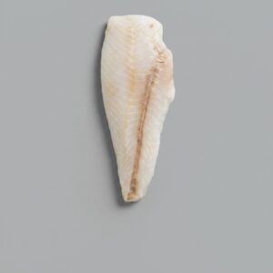 NEW ZEALAND ORANGE ROUGHY