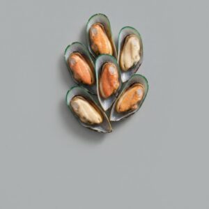 NEW ZEALAND GREENSHELL MUSSELS