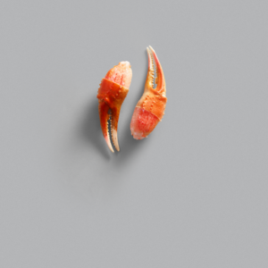 ATLANTIC SNOW CRAB CLAWS
