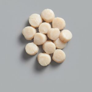 AMERICAN SCALLOPS